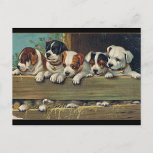 Vintage Puppies Illustration, Hunde-Welpen Postcard