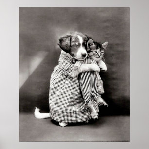 Vintage Puppy and Kitten Poster