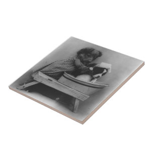 Vintage Puppy Dogs   Funny Pet Photography Tile