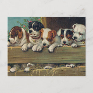 Vintage Pups Postcard