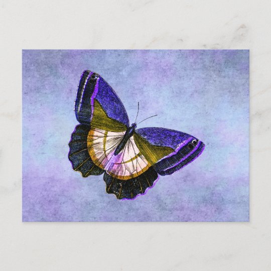 Vintage Purple and Gold Butterfly Illustration Postcard | Zazzle.co.uk