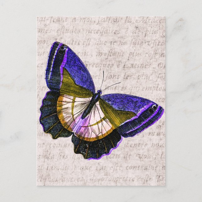 Vintage Purple and Gold Butterfly Illustration Postcard (Front)