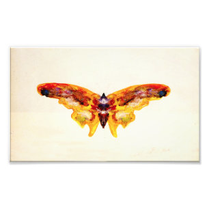 Vintage Purple and Yellow Butterfly Photo Print