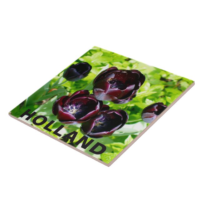 Vintage Purple Black Green Tulips Flowers Holland Tile (Side)