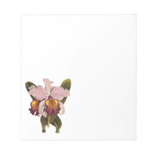 Vintage Purple Cattleya Orchid, Tropical Flowers Notepad