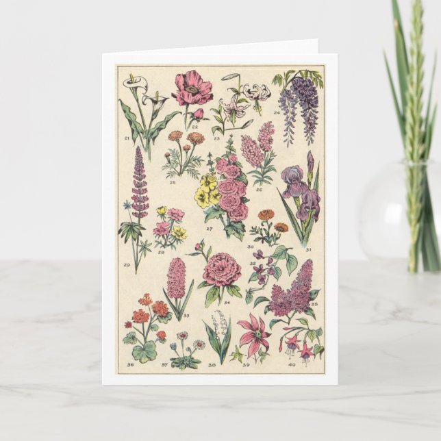 Vintage Purple Flowers Card (Front)