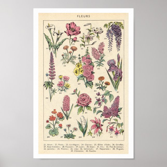 Vintage Purple Flowers Poster (Front)