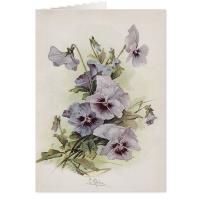 Vintage - Purple & Lavendar Pansies, (Front)