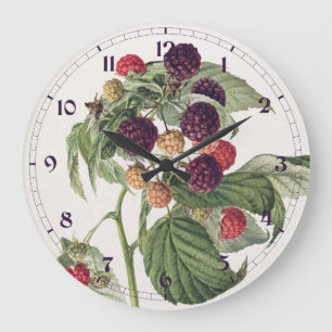 Vintage Purple Raspberry Fruit Illustration Large Clock