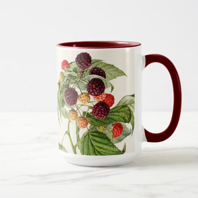Vintage Purple Raspberry Mug (Right)