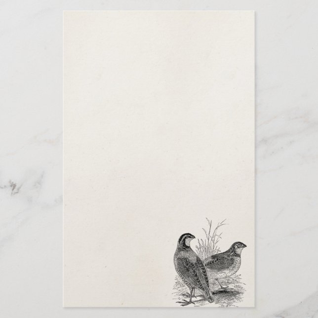 Vintage Quail Birds - Personalised Retro Game Bird Stationery (Front)