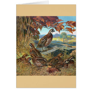 Vintage - Quail in Autumn,