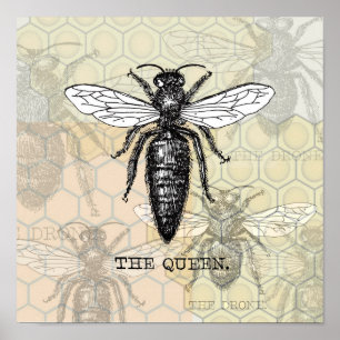 Vintage Queen Bee Illustration Poster