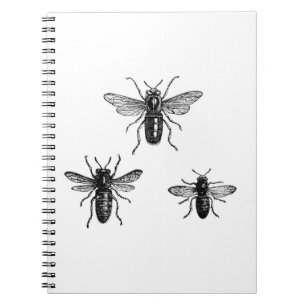Vintage Queen Bee & Working Bees Illustration Notebook