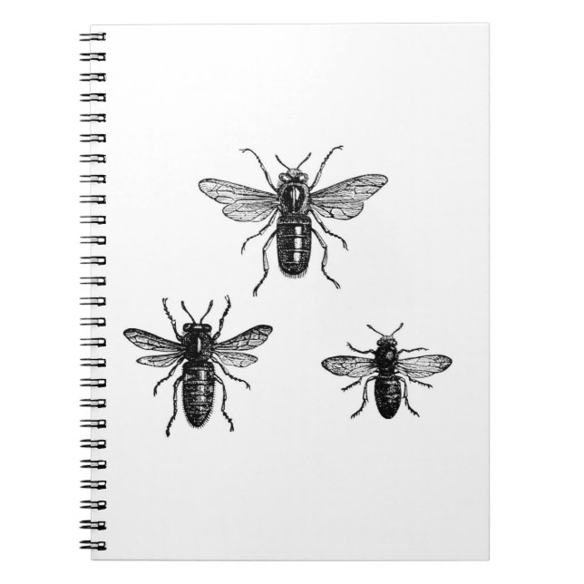 Vintage Queen Bee & Working Bees Illustration Notebook (Front)