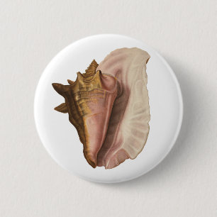 Vintage Queen Conch Seashell Shell, Marine Animal 6 Cm Round Badge
