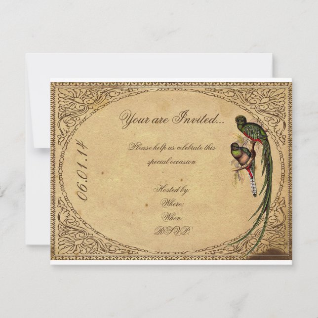 Vintage Quetzal Bird Elegant Party Invitation (Front)