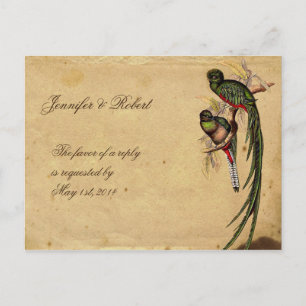 Vintage Quetzal Bird Elegant RSVP Postcard