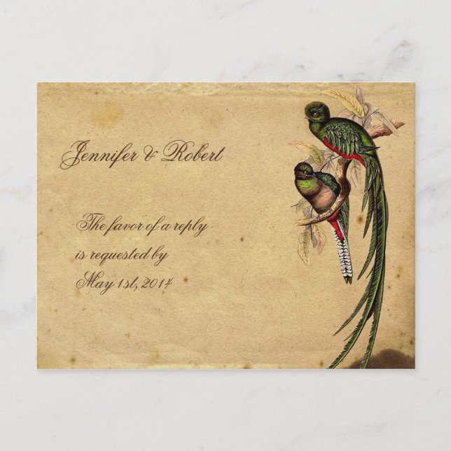 Vintage Quetzal Bird Elegant RSVP Postcard (Front)