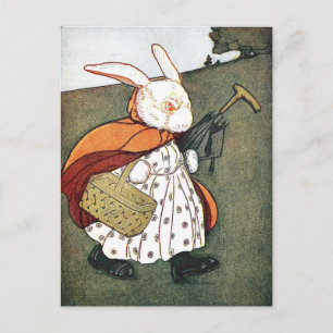 Vintage Rabbit Children's Book Illustration  Postcard