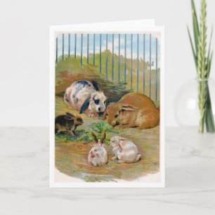 Vintage - Rabbit Family, Card