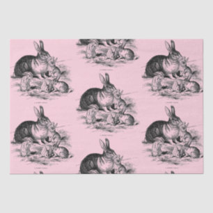Vintage rabbit family - drawing tissue paper
