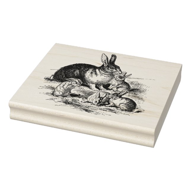 Vintage Rabbit Family Illustration, Baby Bunnies Rubber Stamp (Stamp)