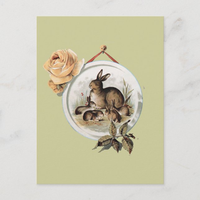 Vintage Rabbit Family Postcard (Front)