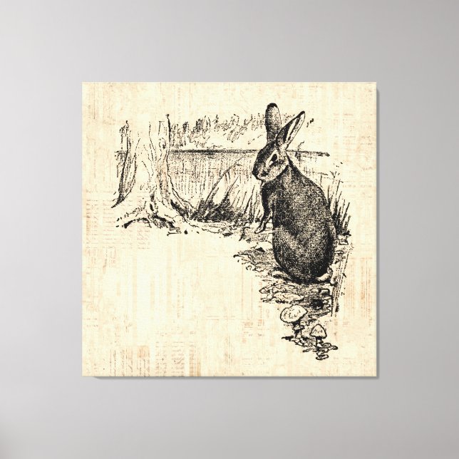 Vintage Rabbit Illustrated Bunny Art Canvas Print (Front)