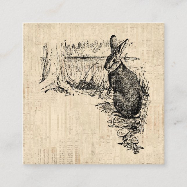 Vintage Rabbit Illustrated Bunny Art Enclosure Card (Front)