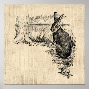 Vintage Rabbit Illustrated Bunny Art Poster