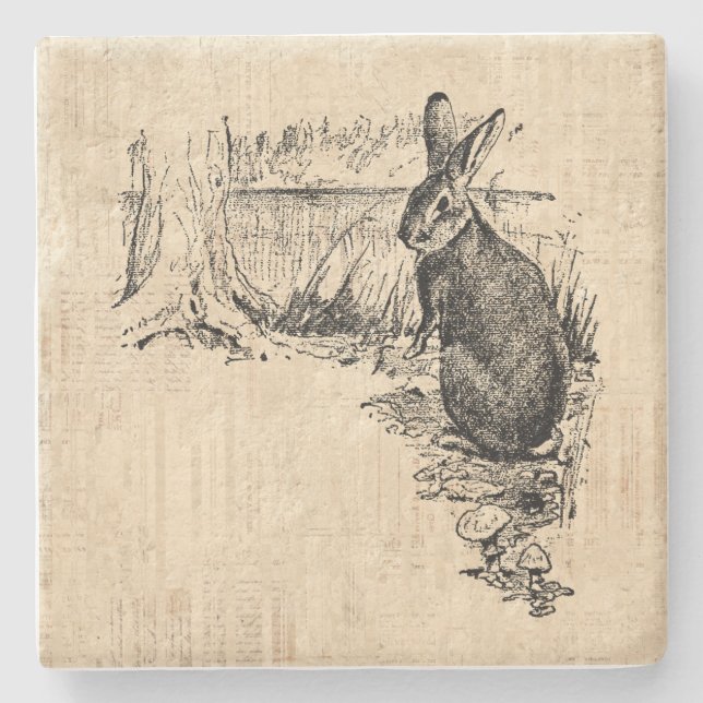 Vintage Rabbit Illustrated Bunny Art Stone Coaster (Front)