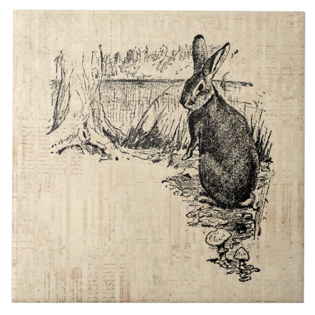 Vintage Rabbit Illustrated Bunny Art Tile (Front)