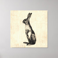 Vintage Rabbit Illustration Old Fashioned Bunny