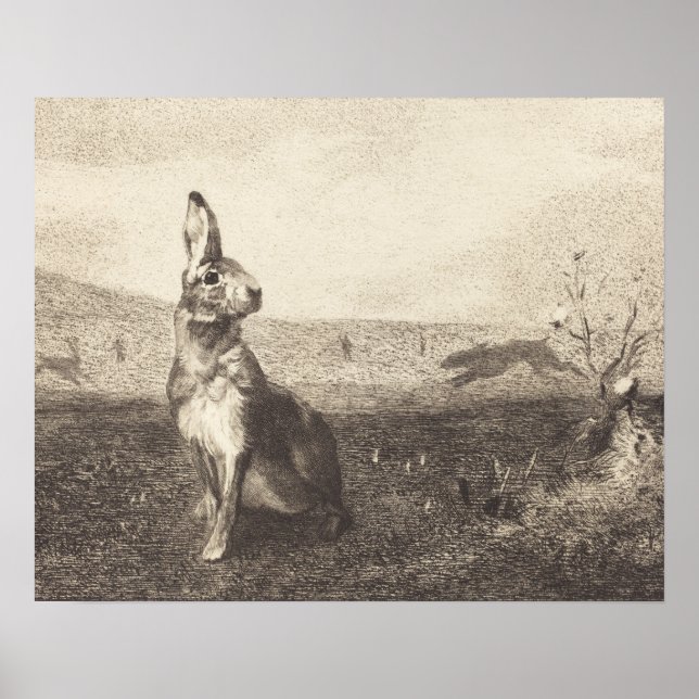 Vintage Rabbit Print Poster (Front)