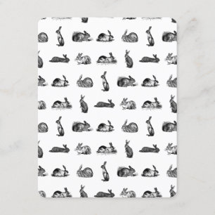 Vintage Rabbits Classic Bunnies CUSTOM BG COLOR Invitation