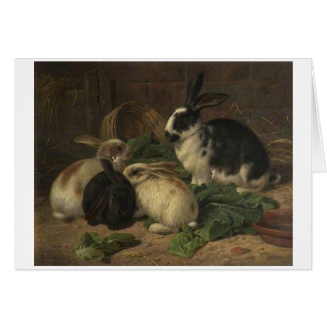 Vintage - Rabbits Eating Lettuce, (Front Horizontal)
