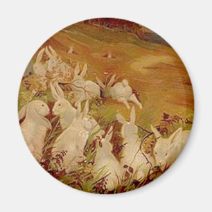 Vintage Rabbits Magnet