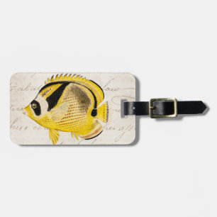 Vintage Racoon Butterfly Fish - Antique Hawaiian Luggage Tag