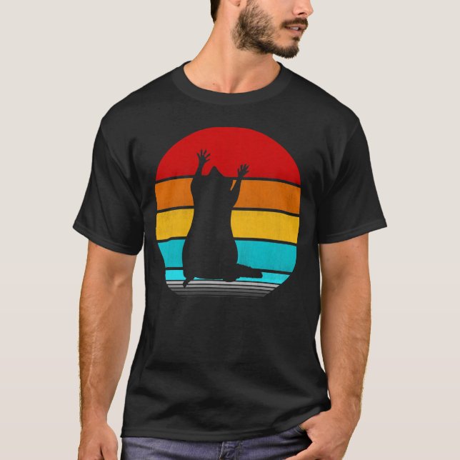 Vintage Racoon T-Shirt (Front)