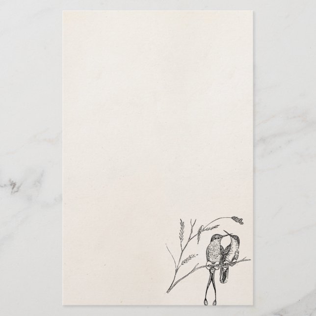 Vintage Racquet Tail Hummingbird Personalised Bird Stationery (Front)
