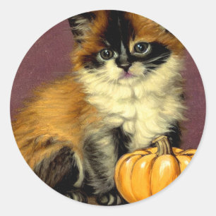 Vintage Ragdoll Halloween Cat Classic Round Sticker