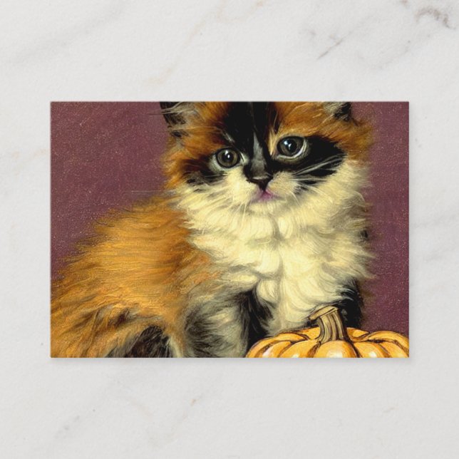 Vintage Ragdoll Halloween Cat Enclosure Card (Front)
