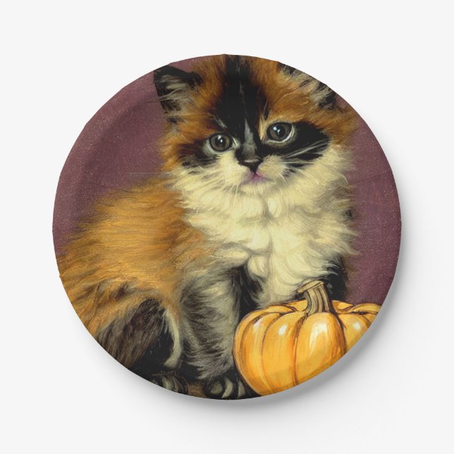 Vintage Ragdoll Halloween Cat Paper Plate (Front)