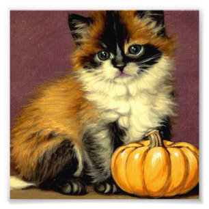 Vintage Ragdoll Halloween Cat Photo Print