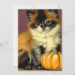 Vintage Ragdoll Halloween Cat Save The Date