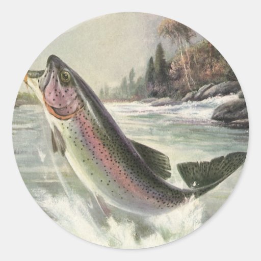 Image of Vintage Rainbow Trout Fish, Fisherman Fishing Classic Round Sticker