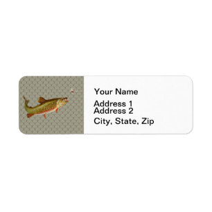 Vintage Rainbow Trout Fly Fishing