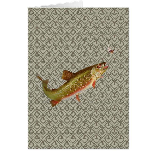 Vintage Rainbow Trout Fly Fishing (Front)