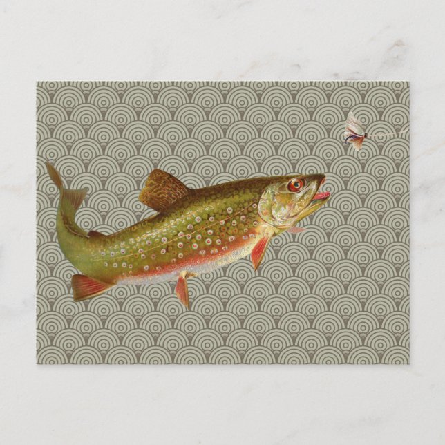 Vintage Rainbow Trout Fly Fishing Postcard (Front)